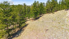 56 Dallas Park Circle