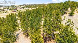 56 Dallas Park Circle