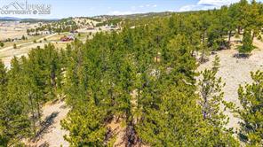 56 Dallas Park Circle