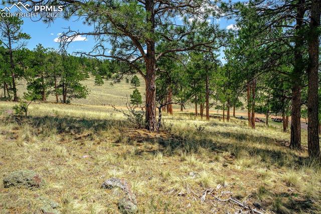 56 Dallas Park Circle