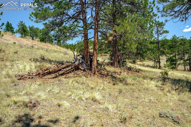 56 Dallas Park Circle