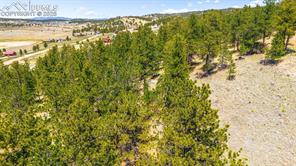 56 Dallas Park Circle