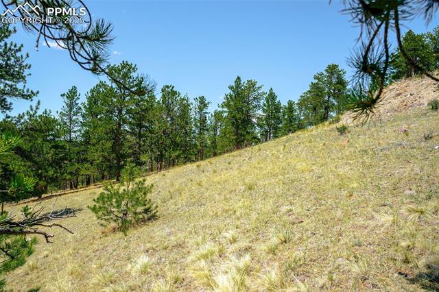 56 Dallas Park Circle