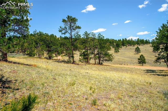 56 Dallas Park Circle