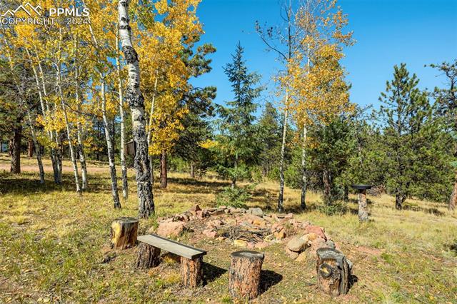 51 Black Mesa Circle