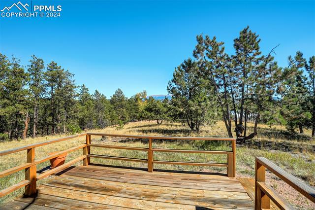 51 Black Mesa Circle