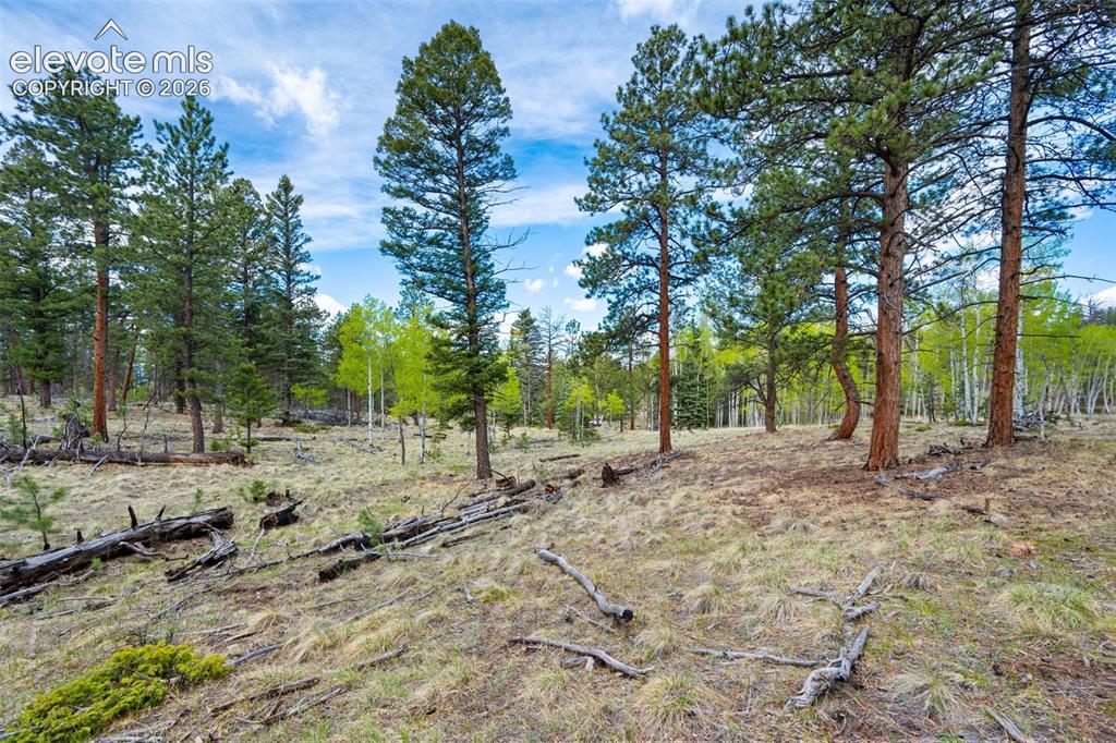 57 Beaver Creek Drive