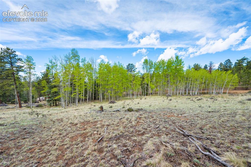 57 Beaver Creek Drive
