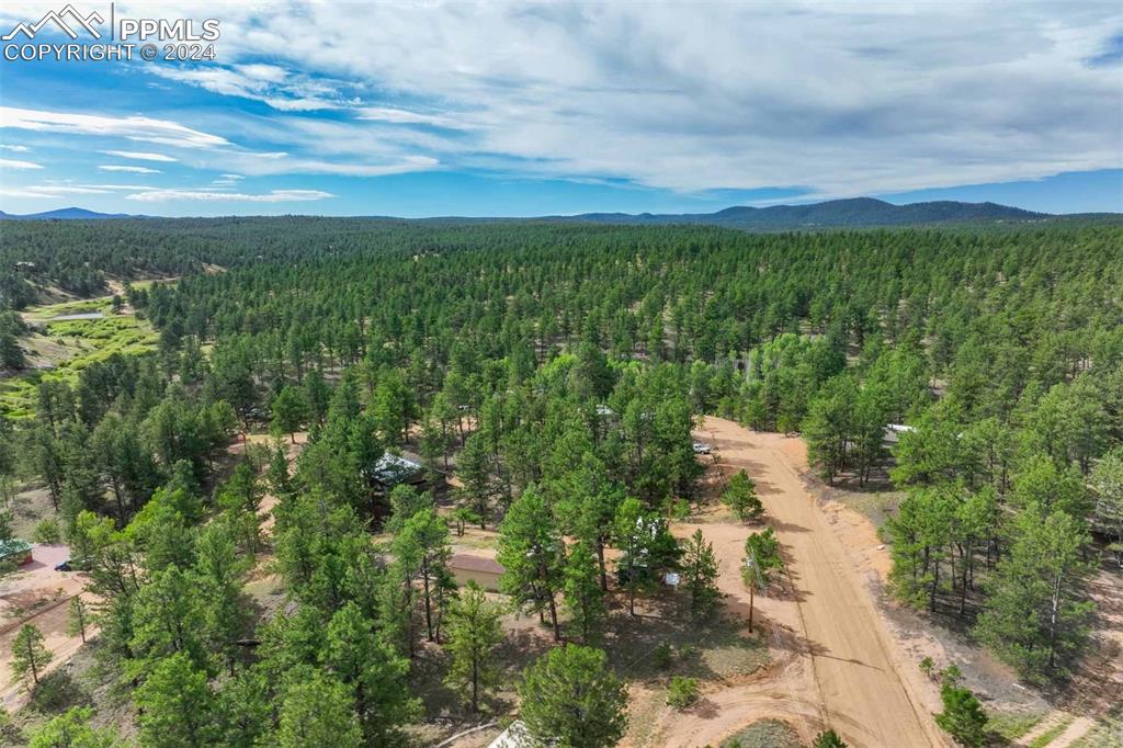 288 Forest Glen Trail