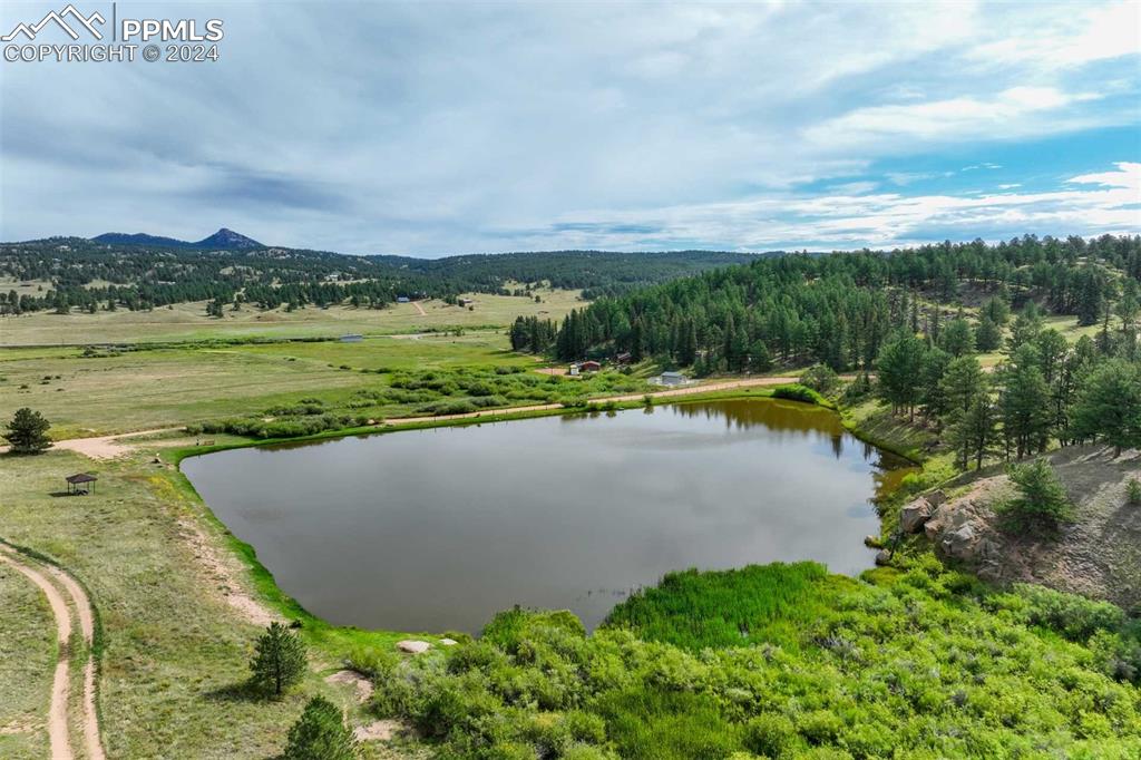 288 Forest Glen Trail