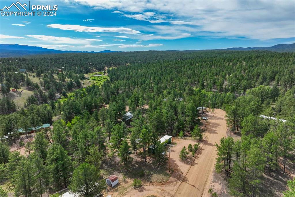 288 Forest Glen Trail