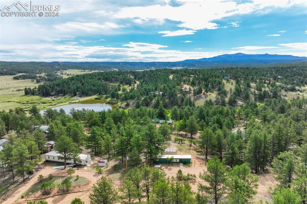 288 Forest Glen Trail