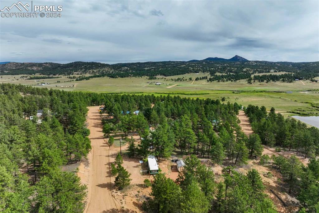 288 Forest Glen Trail