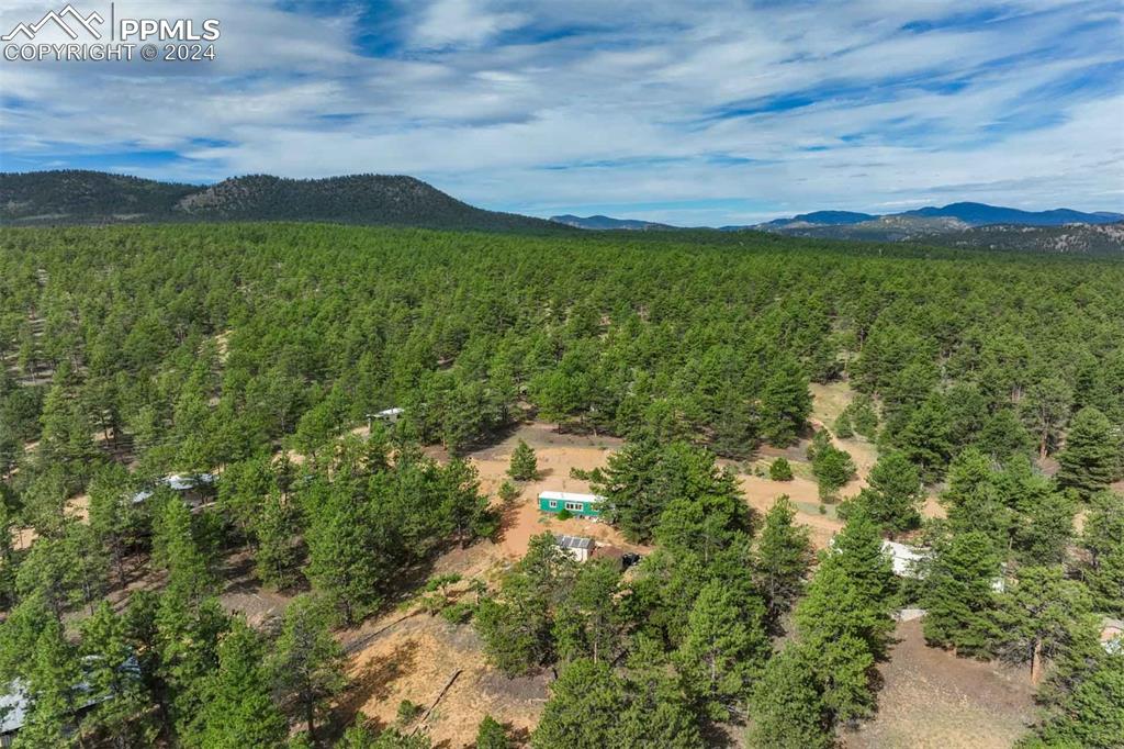 288 Forest Glen Trail