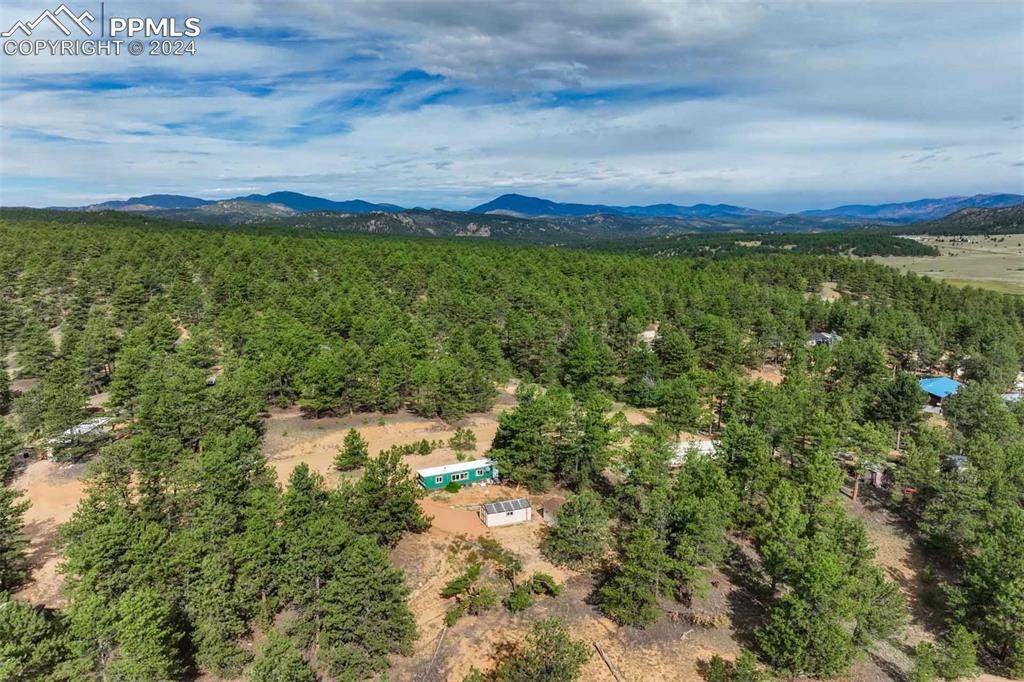 288 Forest Glen Trail