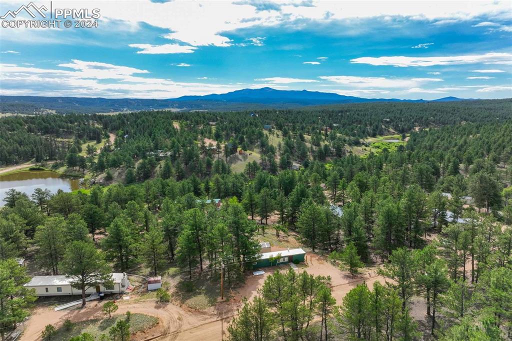 288 Forest Glen Trail