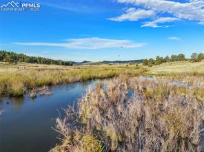 224 Lakeview Forest Heights