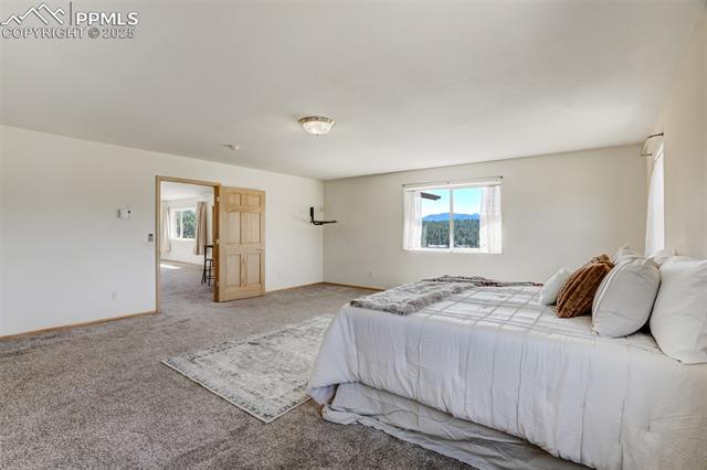 115 White Tail Lane