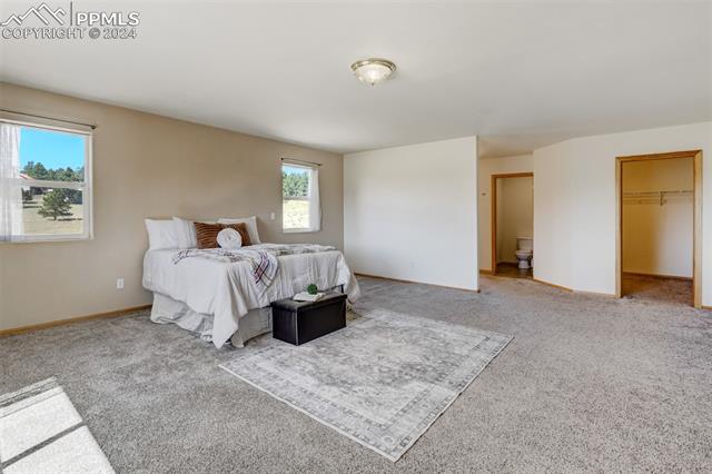 115 White Tail Lane