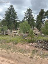 155 County Road 403