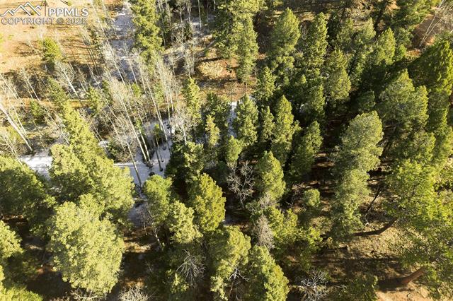 2763 N Mountain Estates Road