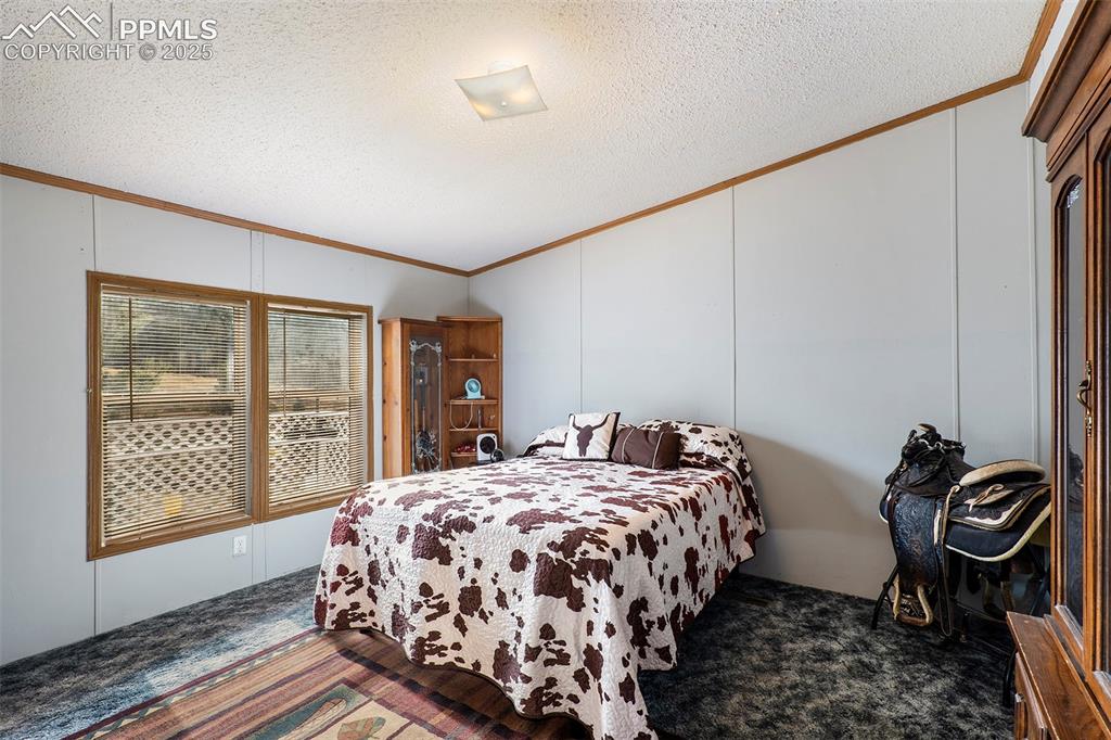 523 Monarch Drive
