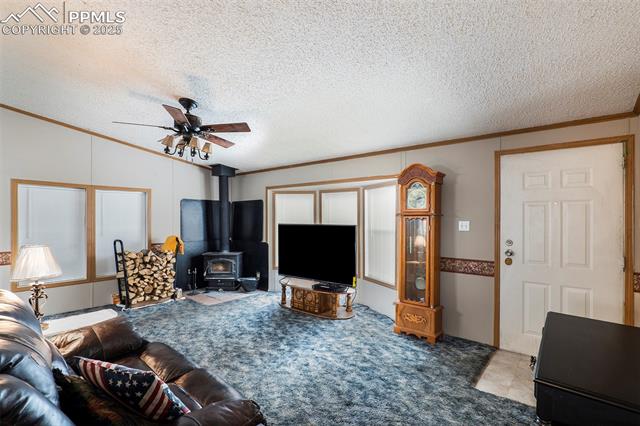 523 Monarch Drive