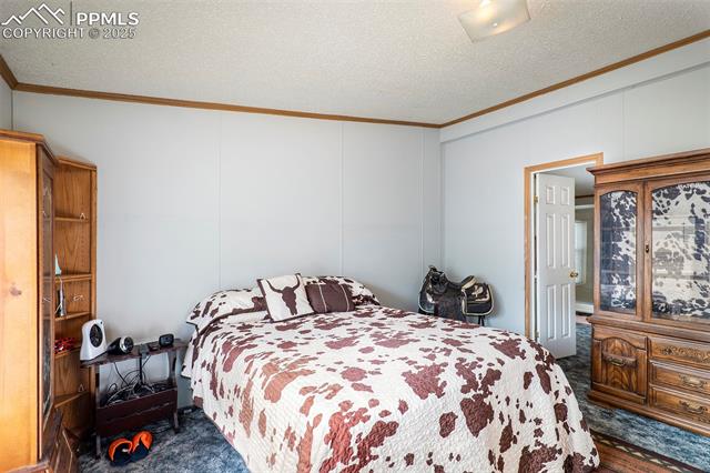 523 Monarch Drive