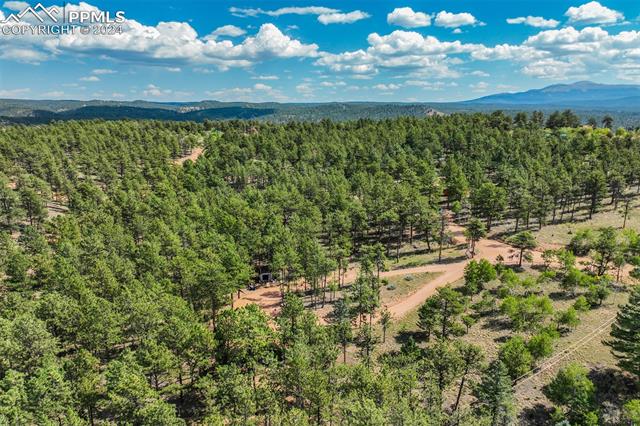 75 Paint Brush Drive