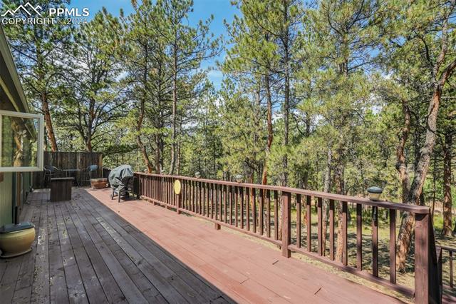 75 Paint Brush Drive