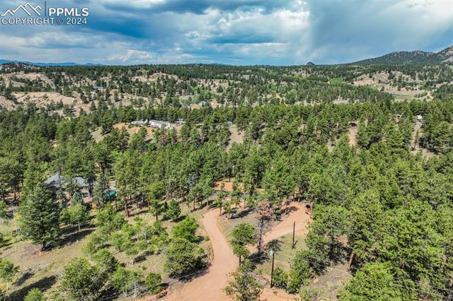 75 Paint Brush Drive