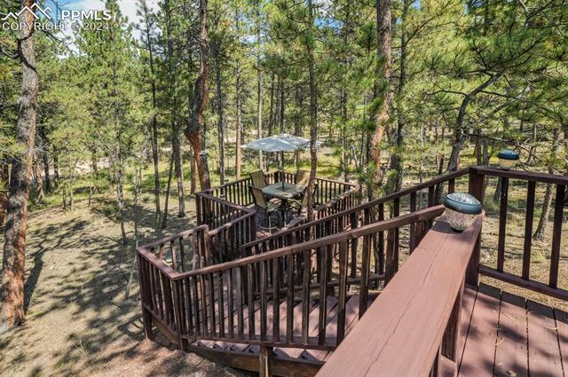 75 Paint Brush Drive