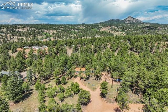 75 Paint Brush Drive