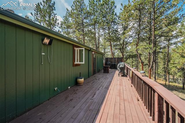 75 Paint Brush Drive