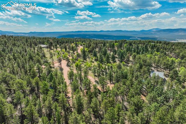 75 Paint Brush Drive