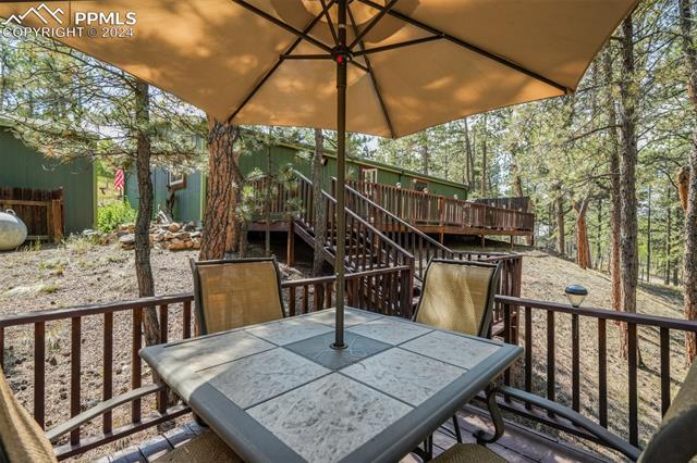 75 Paint Brush Drive