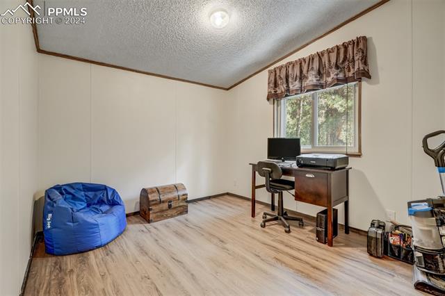 75 Paint Brush Drive