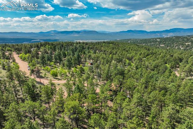 75 Paint Brush Drive