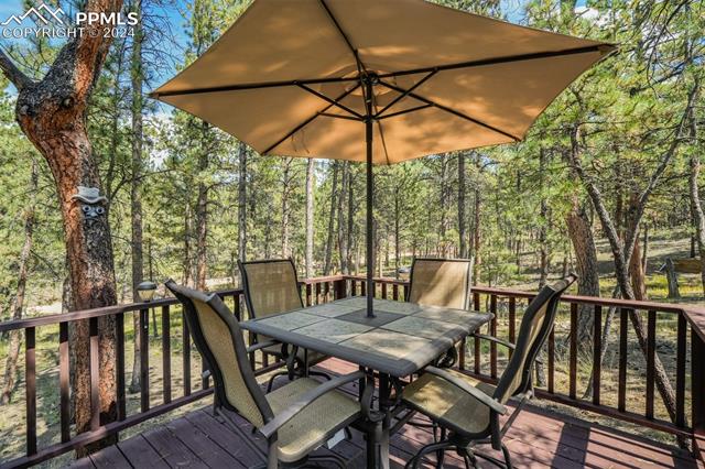 75 Paint Brush Drive