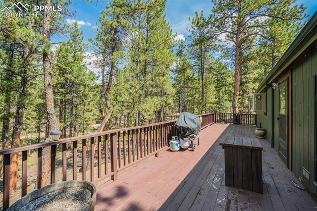 75 Paint Brush Drive