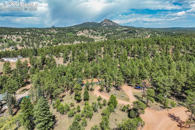 75 Paint Brush Drive