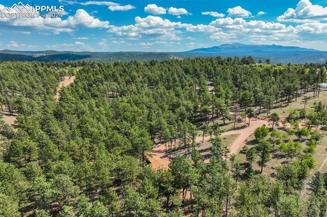 75 Paint Brush Drive