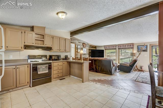 75 Paint Brush Drive