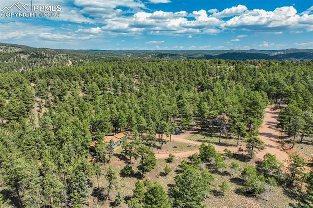 75 Paint Brush Drive