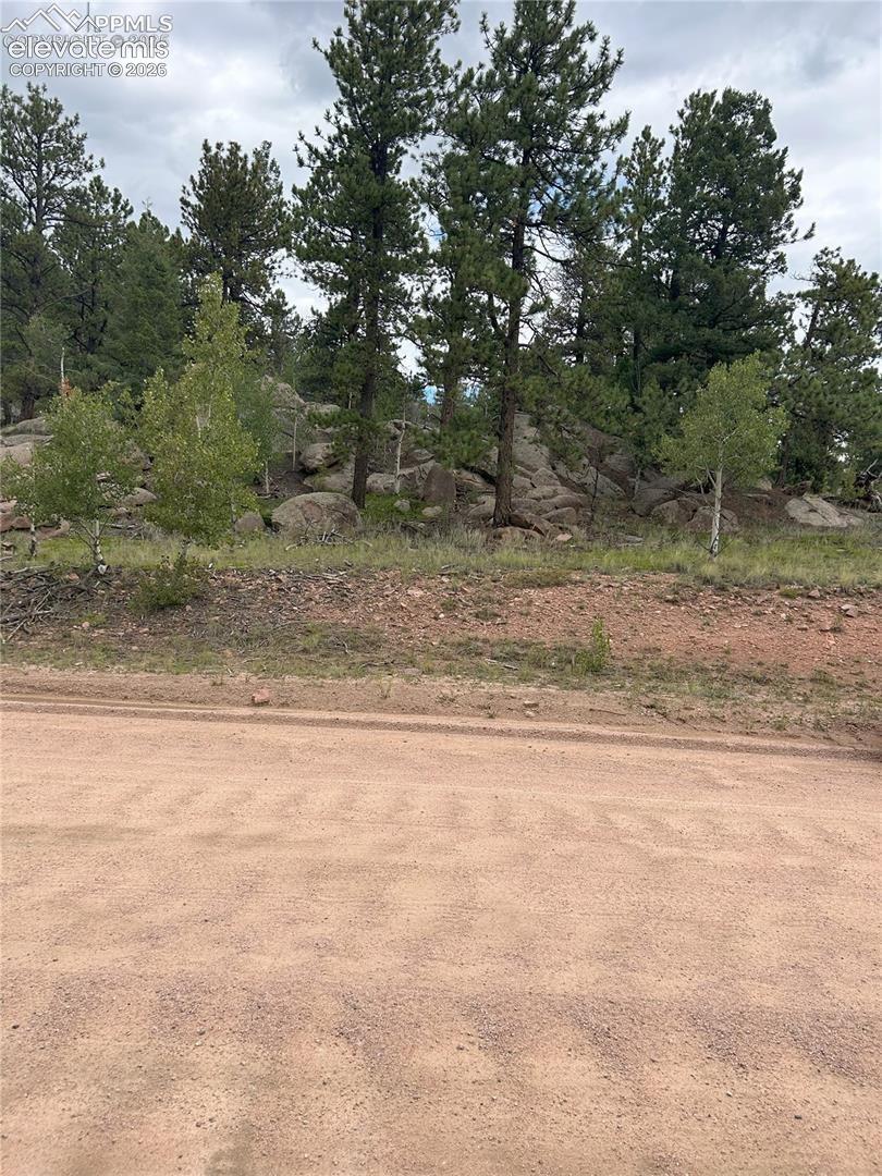 155 County Road 403
