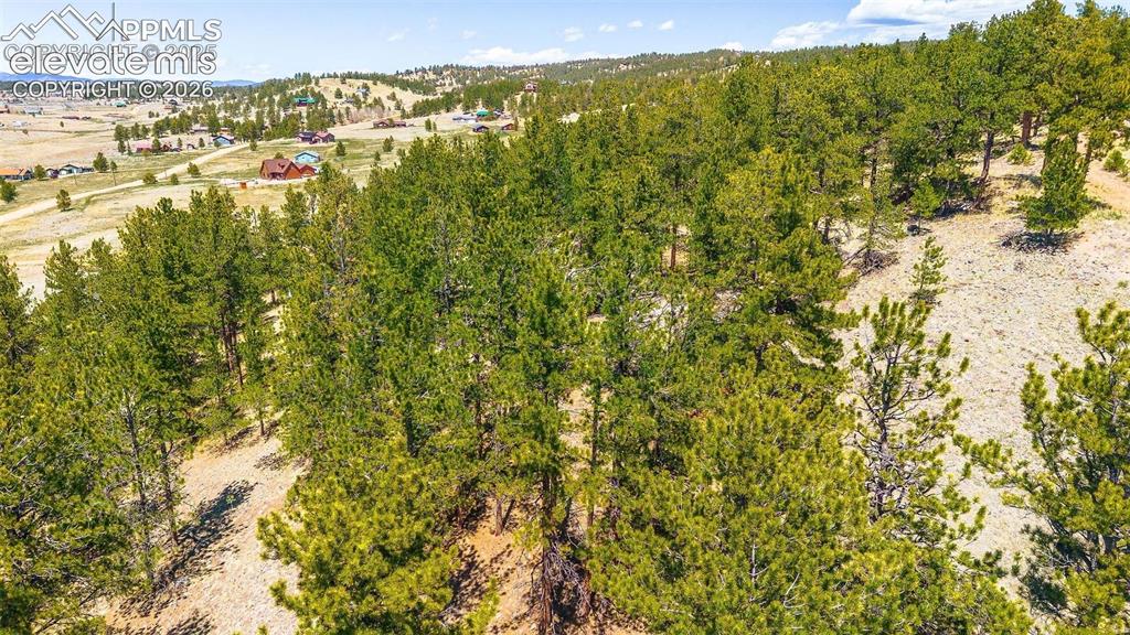 56 Dallas Park Circle
