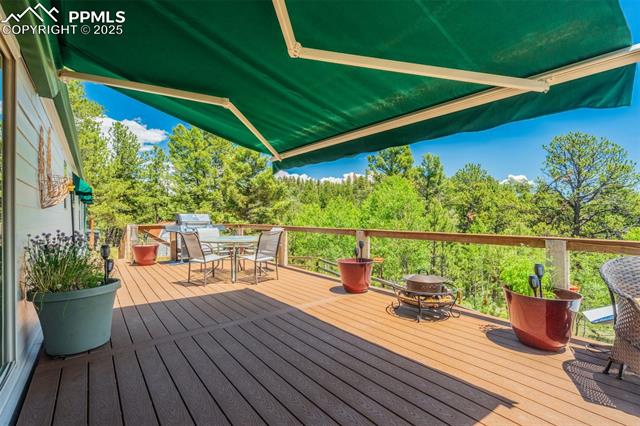 716 Badger Trail