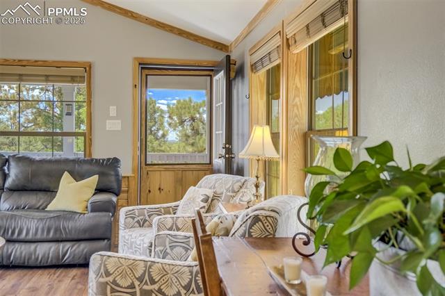 716 Badger Trail