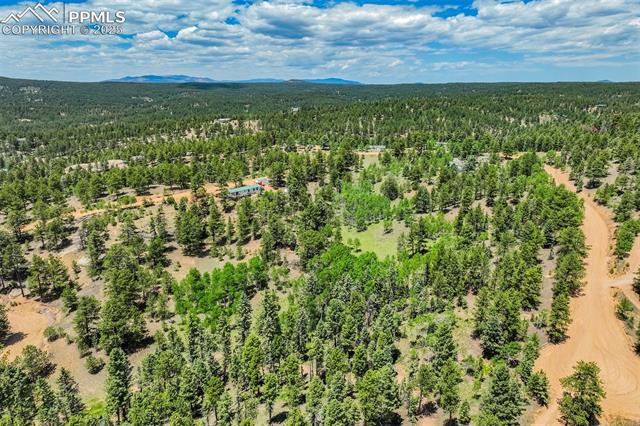 716 Badger Trail