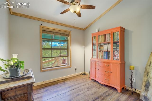716 Badger Trail